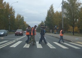 ГИБДД предлагает сделать «зебру» разноцветной